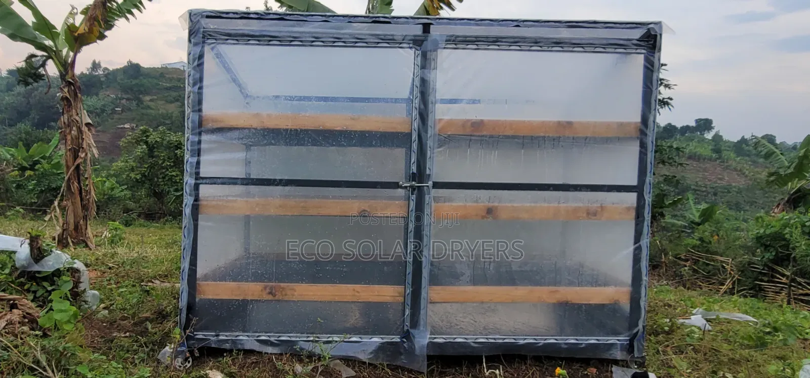 Eco Solar Driers in Uganda
