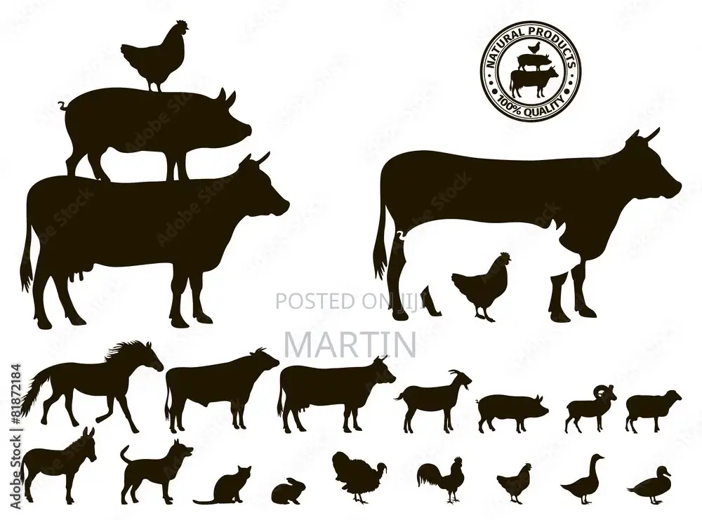 General Farm Project Manager