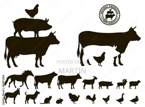 General Farm Project Manager