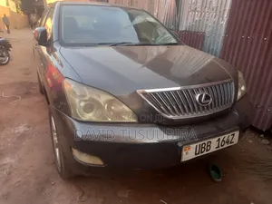 Lexus RX 300 4WD 2004 Gray