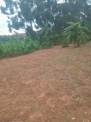 Plot at Katale Entb