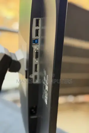 IPs Dell Monitor