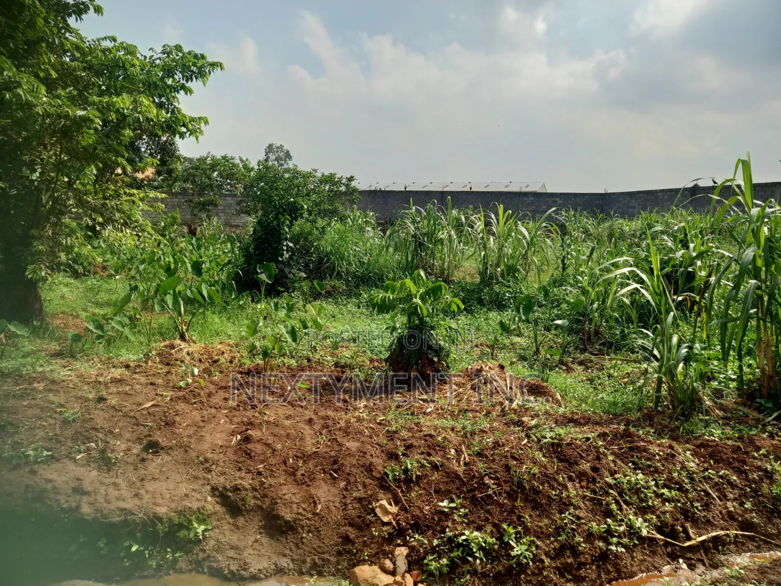 3 Acres of Land for Sale in Kyengera Near Main Road