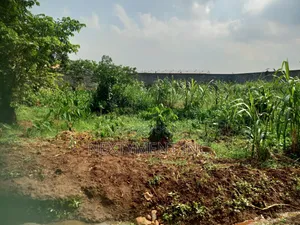 3 Acres of Land for Sale in Kyengera Near Main Road