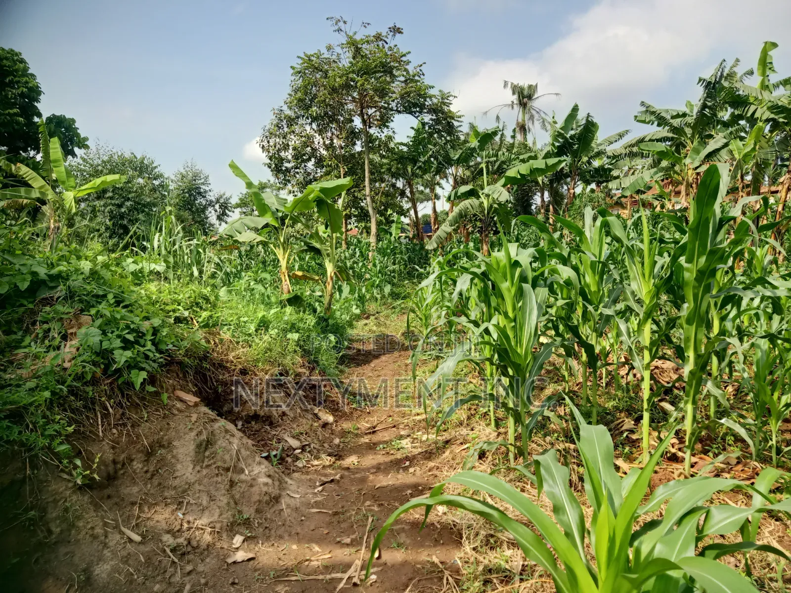 3 Acres of Land for Sale in Kyengera Near Main Road