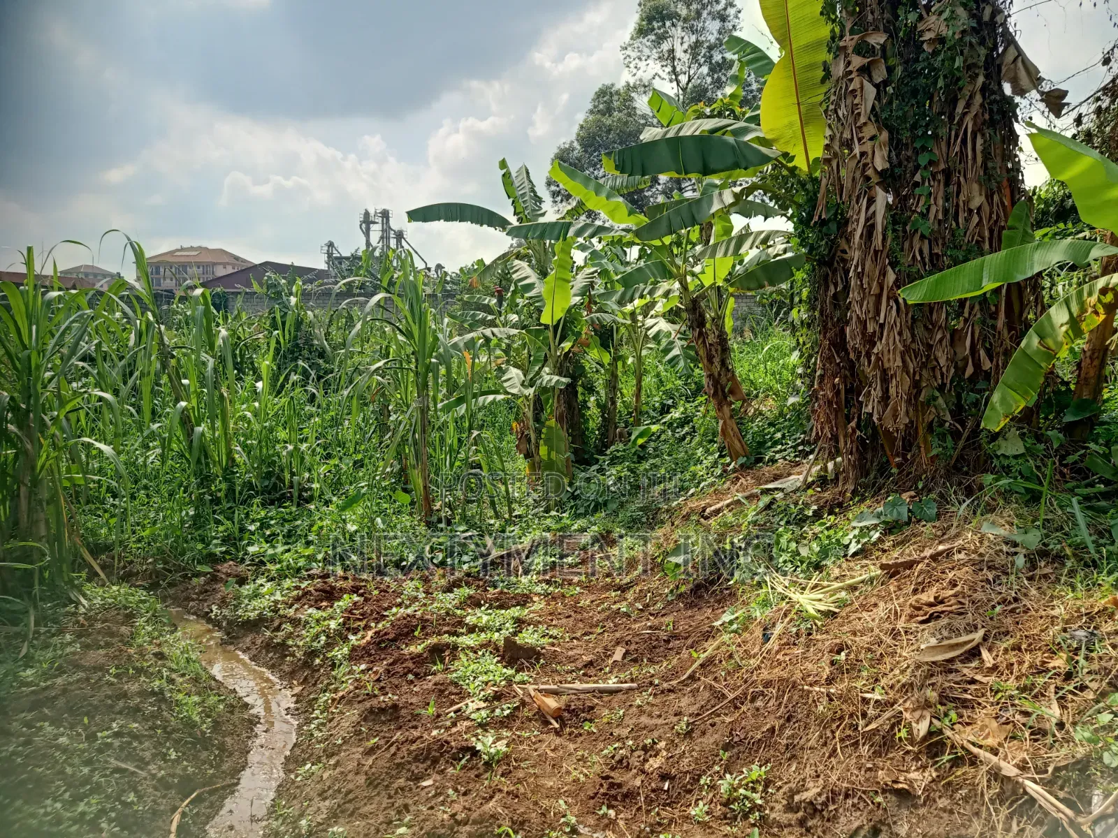 3 Acres of Land for Sale in Kyengera Near Main Road