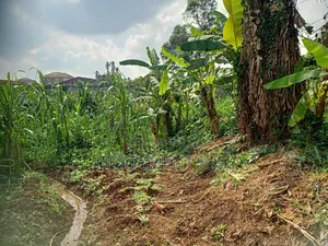3 Acres of Land for Sale in Kyengera Near Main Road