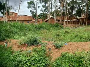 4 Acres of Land for Sale and Lease in Kyengera on Main Road
