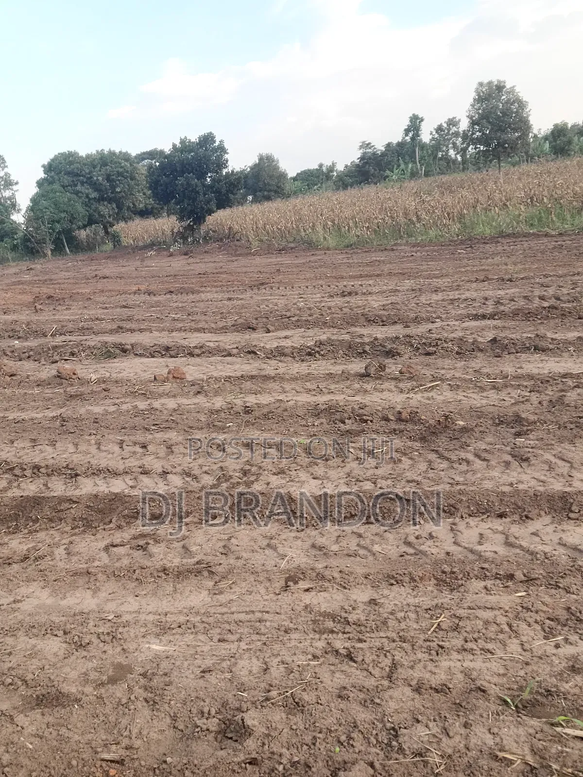 Plots for Sale