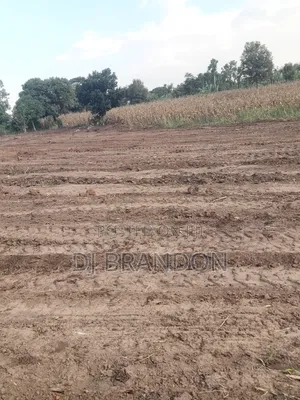 Plots for Sale