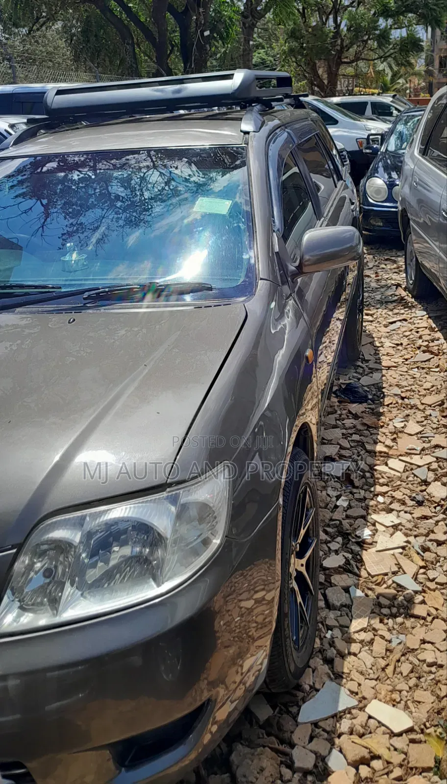 Toyota Corolla Fielder 2006 Gray