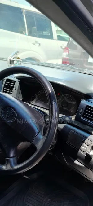 Toyota Corolla Fielder 2006 Gray