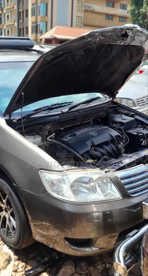 Toyota Corolla Fielder 2006 Gray
