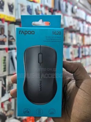 Rapoo 1620 Wireless Optical Mouse