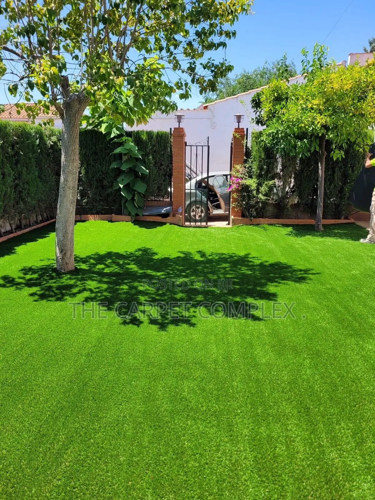Home Balcony Classic Carpets Ever Green 45k Squaremeter