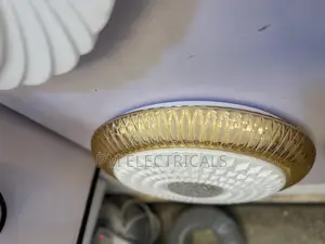 Ceiling Light
