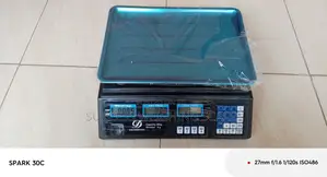 Portable Digital Weighing Scale 40kg Weigh Quality Weighing Scale