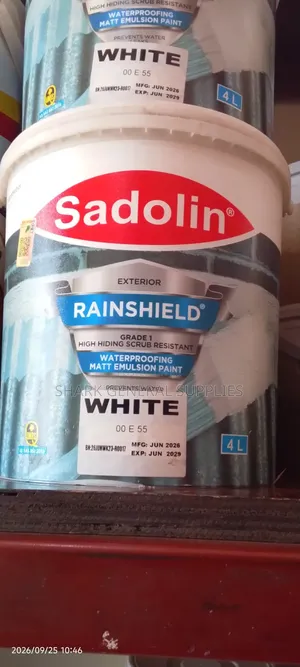 Rainsheld Paint 4liters
