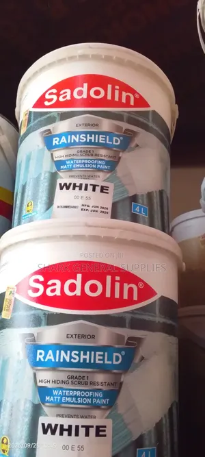 Rainsheld Paint 4liters