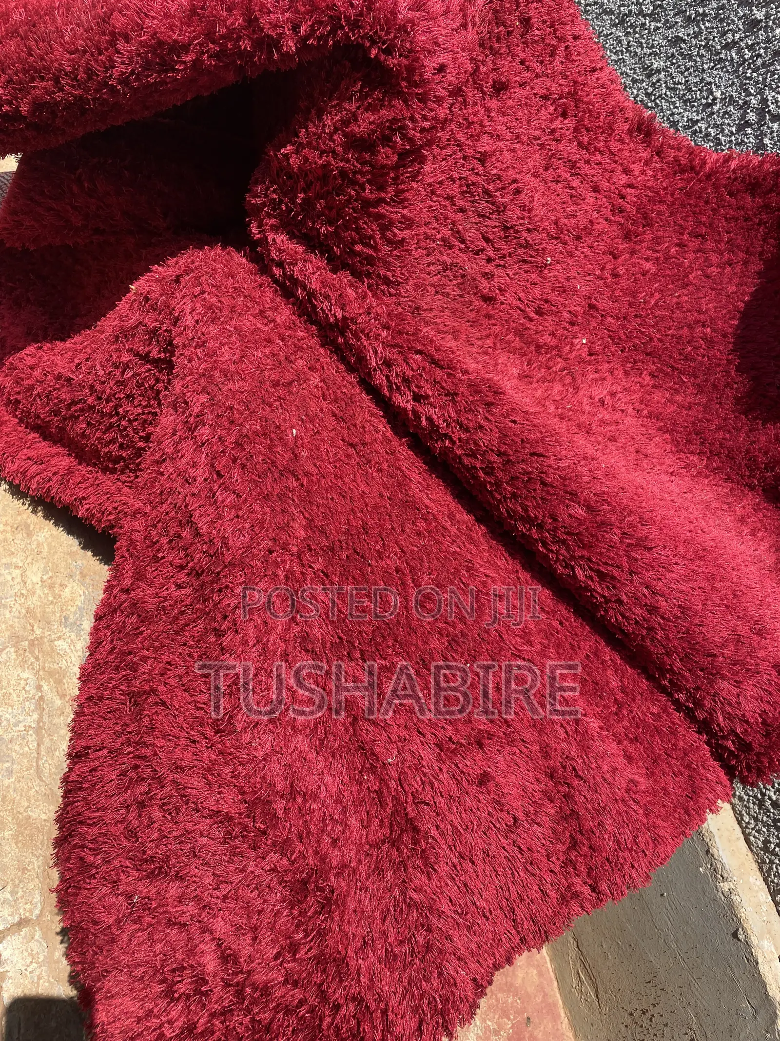 Shaggy Carpet Medium
