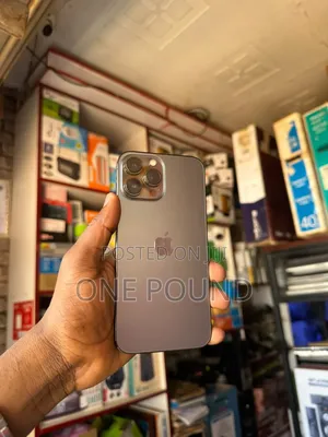 Apple iPhone 13 Pro Max 128 GB Gray