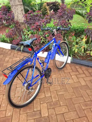 Adult Bike