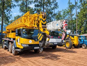 Up to 25-Ton Cranes Available for Hire