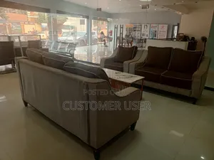Furniture Sofa