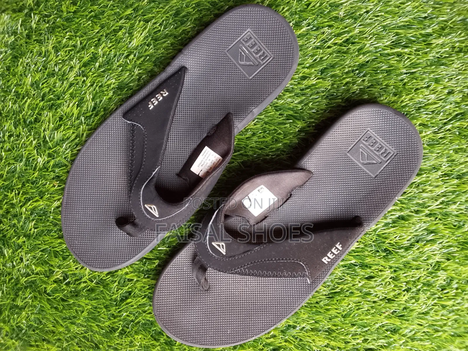 Men's Reef