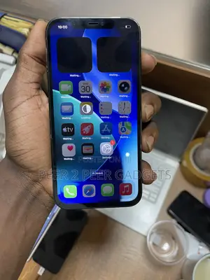 Apple iPhone 12 Pro Max 256 GB Blue