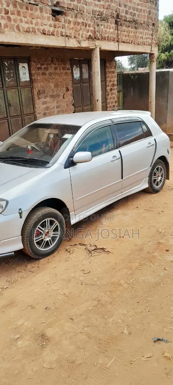 Toyota Allex 2004 Silver