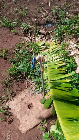 Land for Sale E Bulami Zirobwe