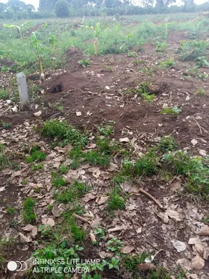 Land for Sale E Bulami Zirobwe