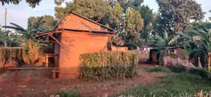 Plot of Land in Bujagali