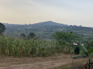 3 Plots for Sale in Kakiri - Kikugi Trading Center
