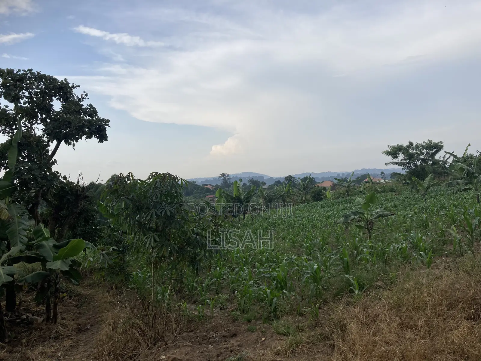 3 Plots for Sale in Kakiri - Kikugi Trading Center