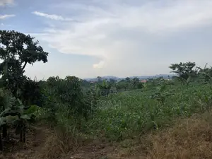3 Plots for Sale in Kakiri - Kikugi Trading Center