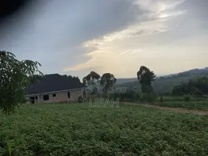 3 Plots for Sale in Kakiri - Kikugi Trading Center