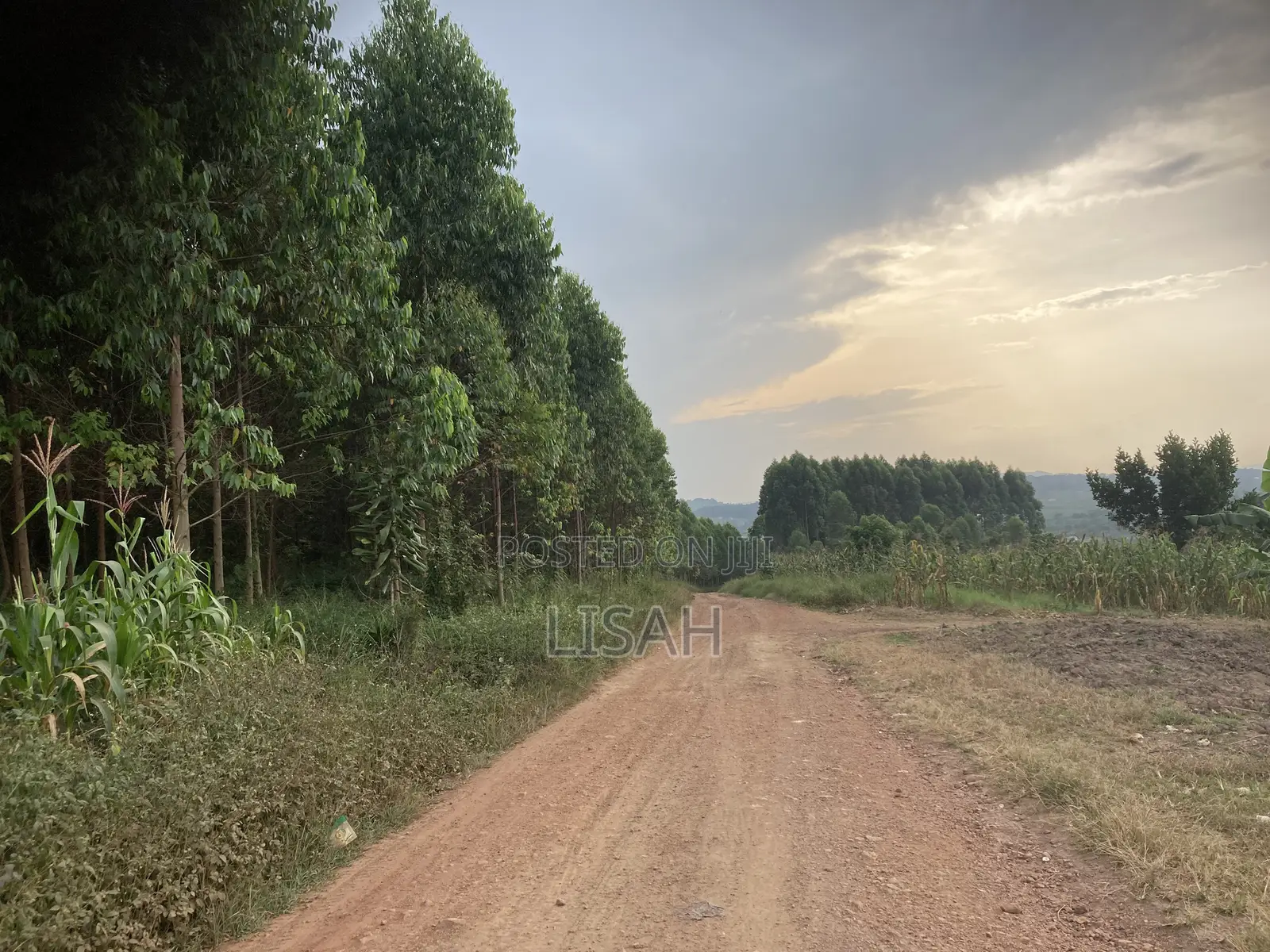 3 Plots for Sale in Kakiri - Kikugi Trading Center