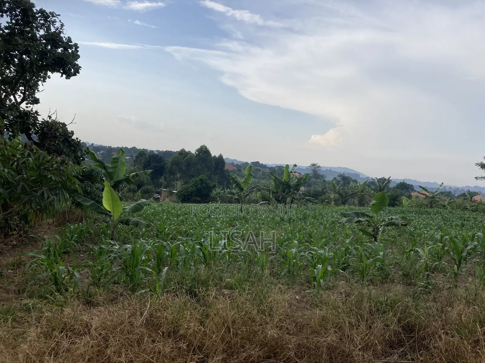 3 Plots for Sale in Kakiri - Kikugi Trading Center