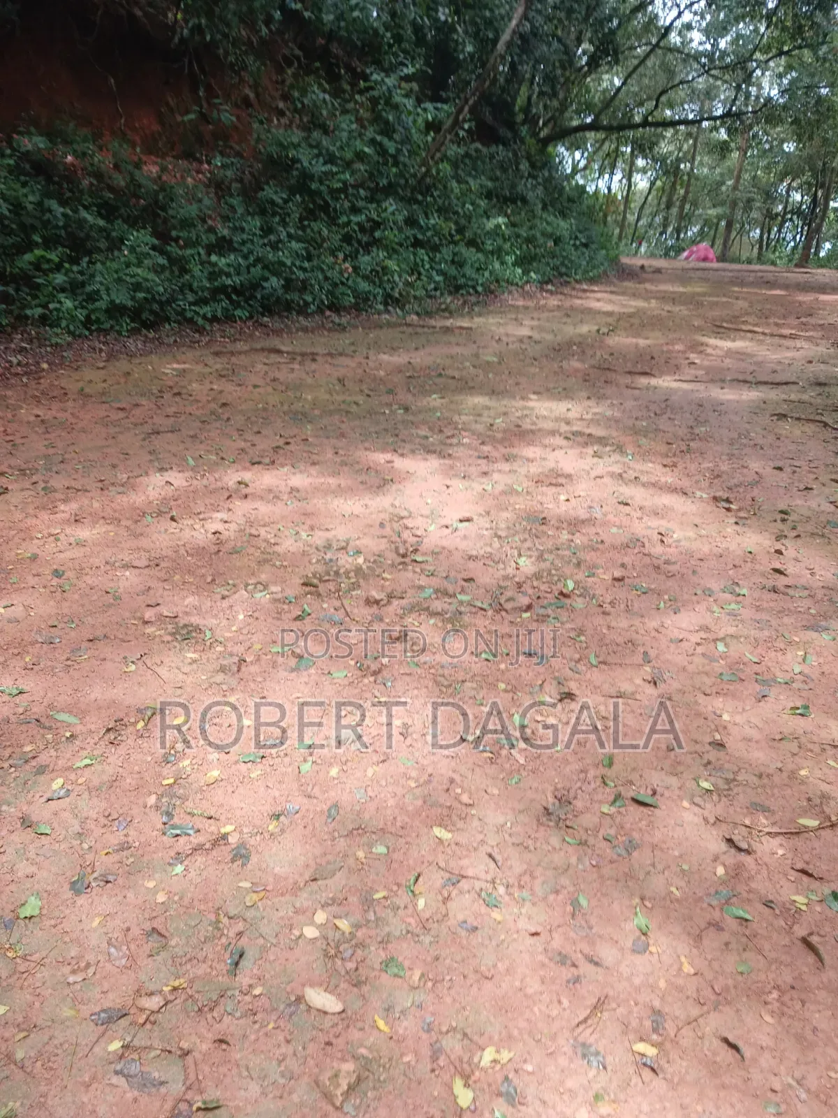 20bdrm Block of Flats in Hotel, Wakiso / Wakiso for sale