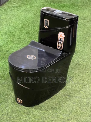 Luxurious Toilets Available