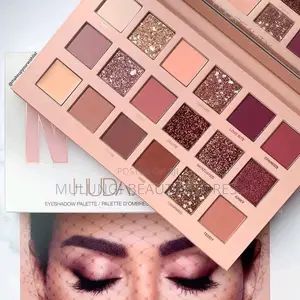 Color Burst Artistry Palette Eyeshadow Kits