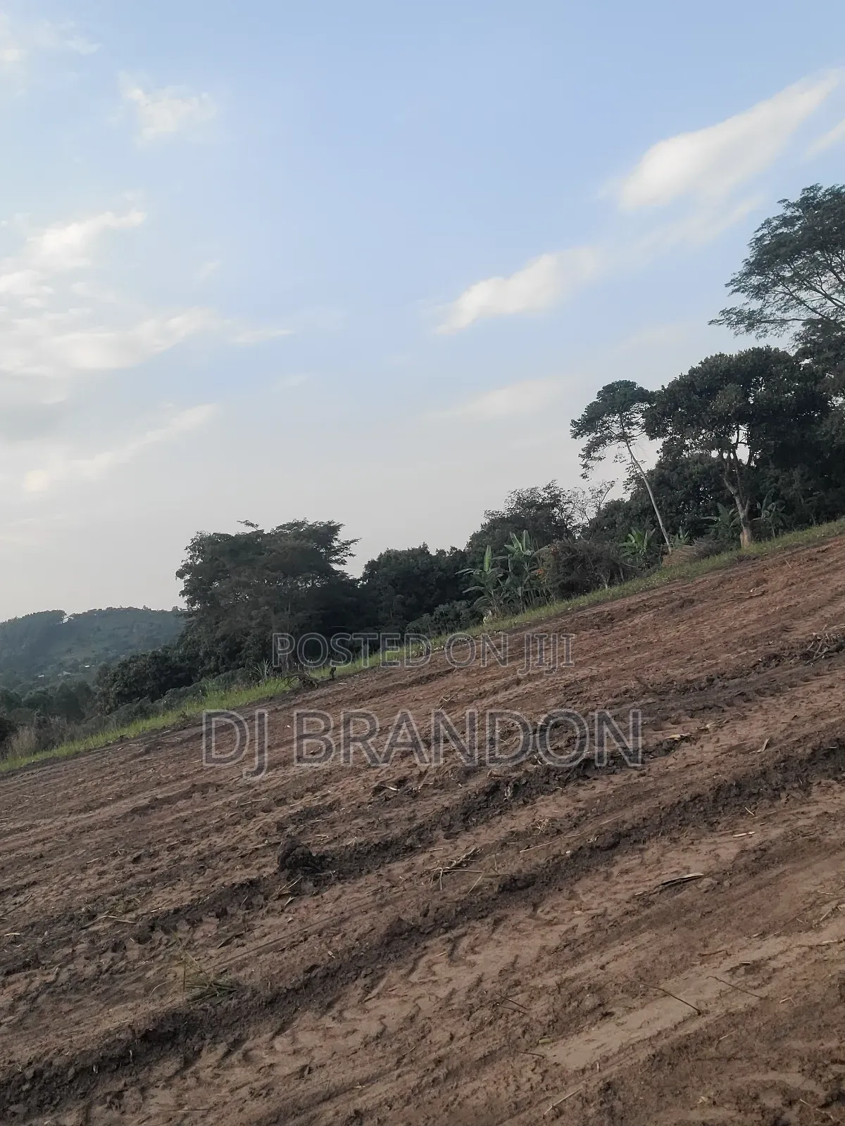 Plots for Sale