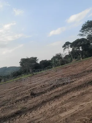 Plots for Sale