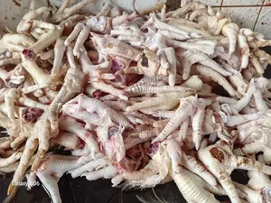 Chicken Legs N Heads