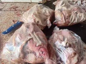Chicken Legs N Heads
