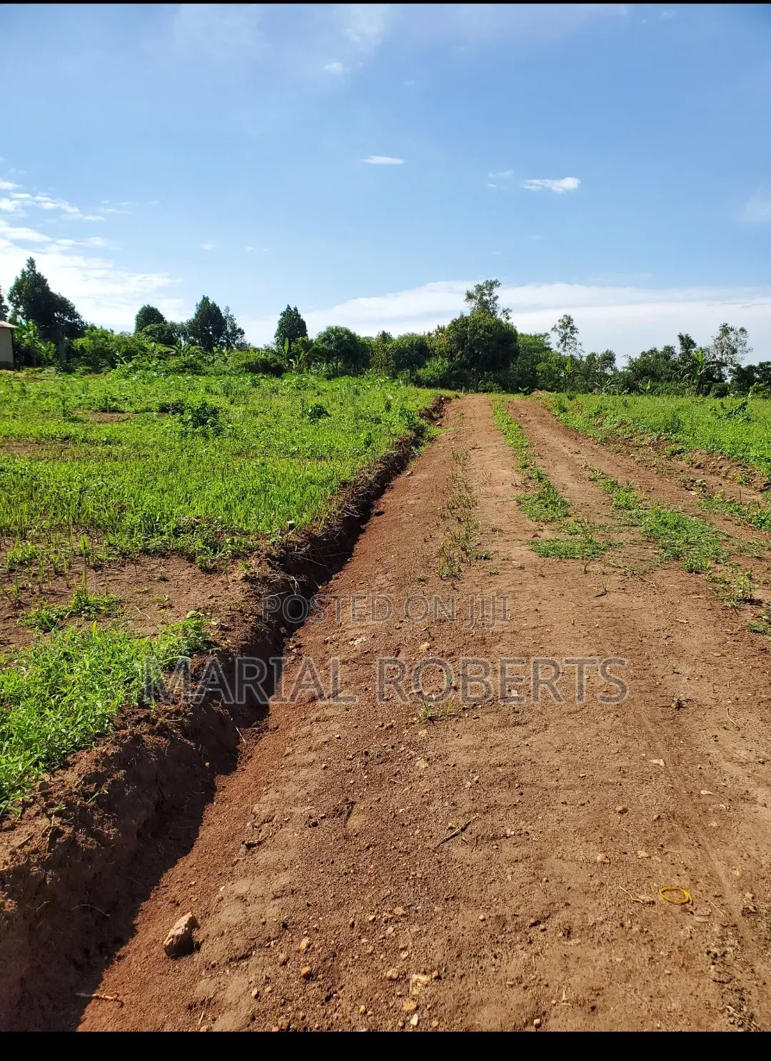 Titled Plots in Bamutakude for Sale