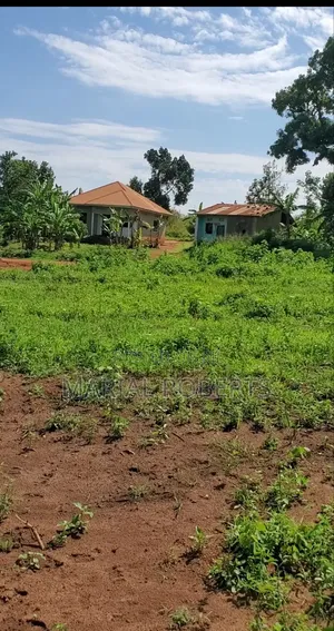 Titled Plots in Bamutakude for Sale