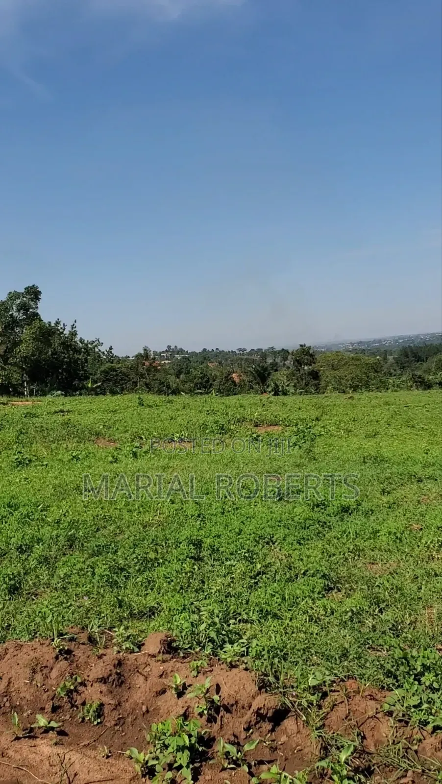Titled Plots in Bamutakude for Sale